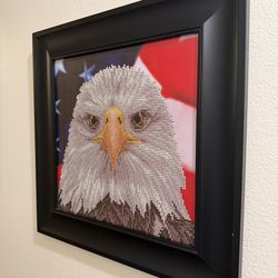 American Bald Eagle Framed Picture