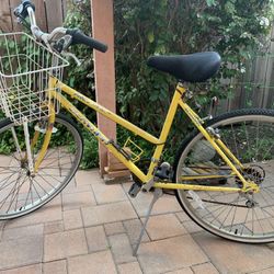Schwinn Bike