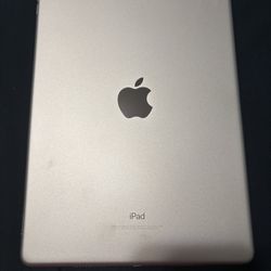 iPad Pro