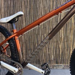 Large Specialized P1 Dirt jumper for Sale in Santa Ana CA OfferUp