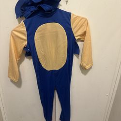 Sonic Costume 