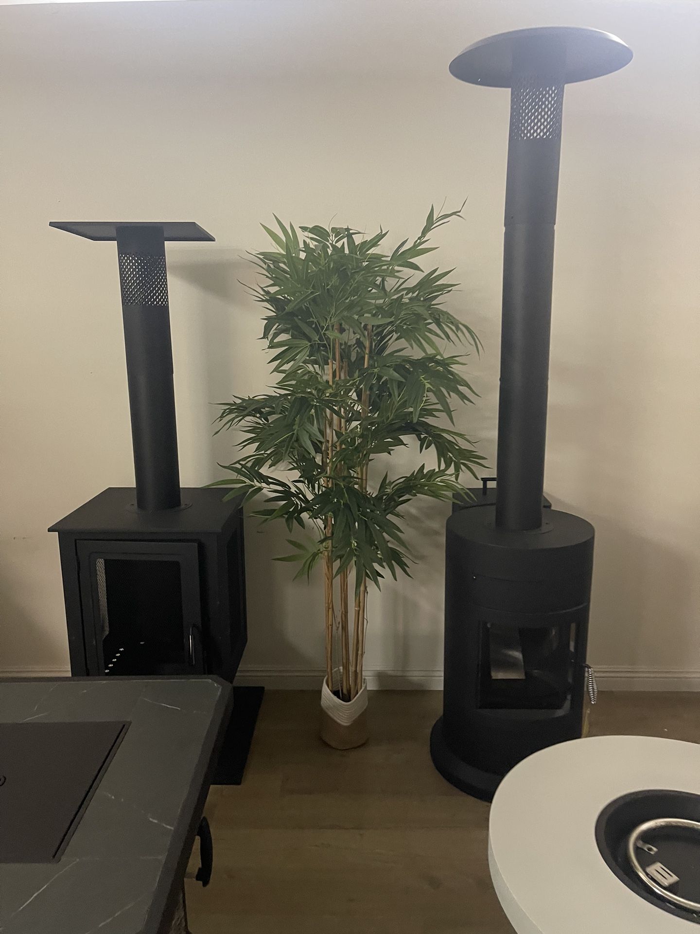 Decorative Plants