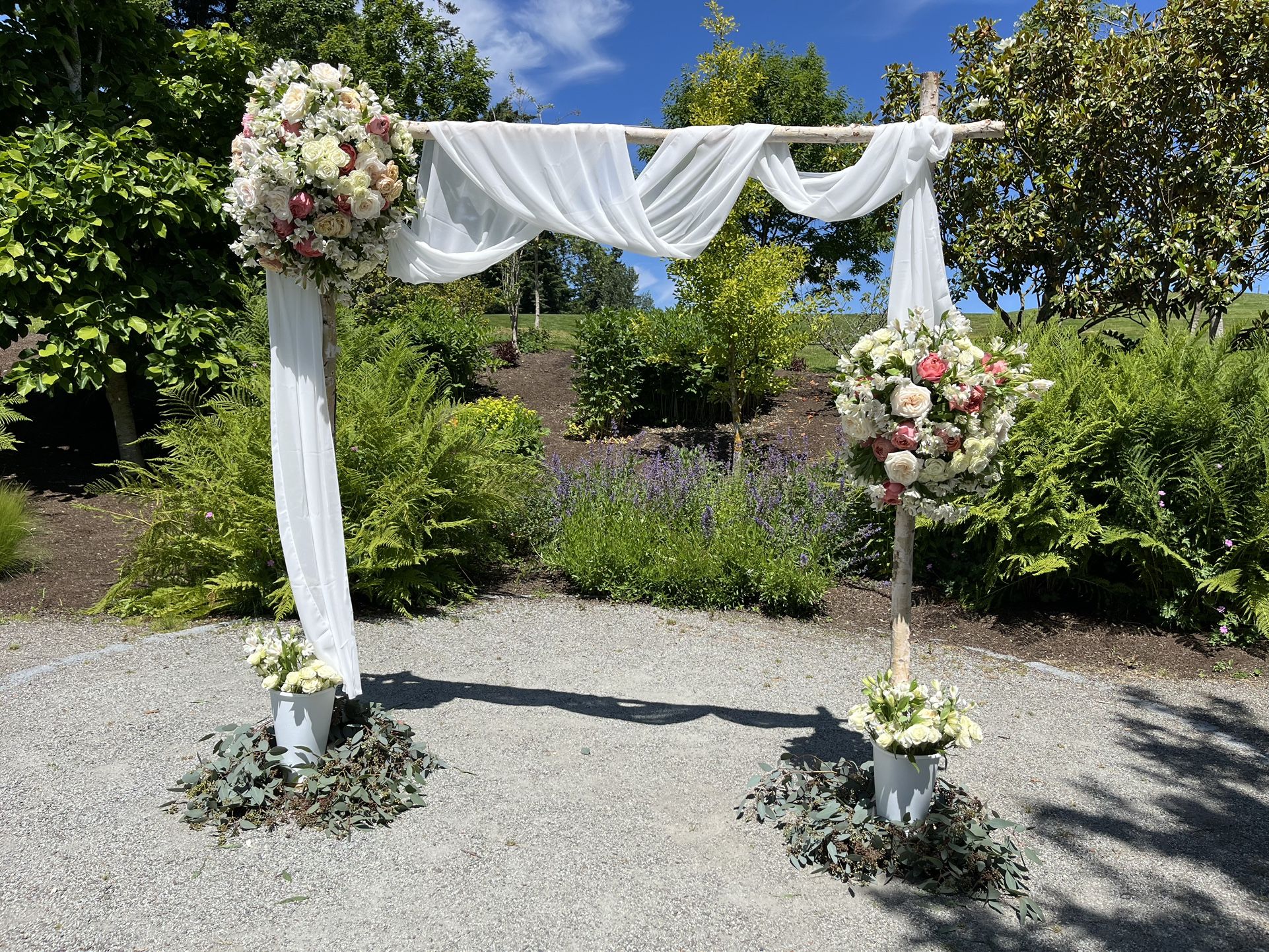 Birch Wedding Arch