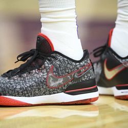 LEBRON X FAZE SHOE COLLAB