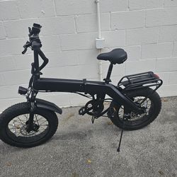 Electric Bike