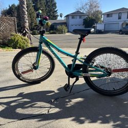 Specialized RipRock 20’’