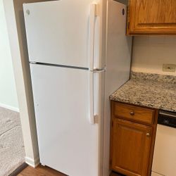 The Fridge
