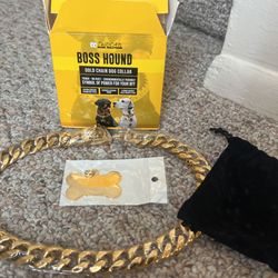 Boss Hound Gold Collar 