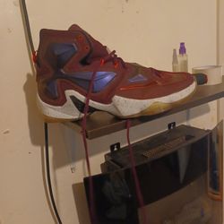 Size 12 LeBron James