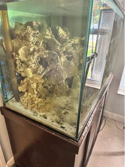 110 gallon tank