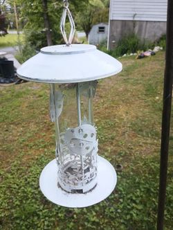Wild Bird Feeder - Lady Bug Pattern