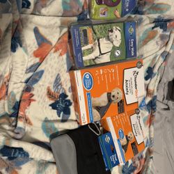 Set Of Things For Dogs 