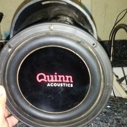 Quinn Acoustics El Bazooka