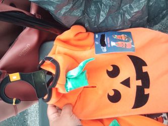 Halloween Pumpkin Pet Hoodie -Small