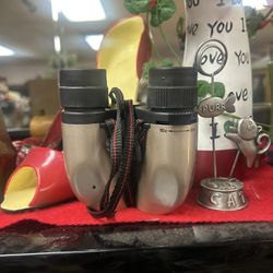 Sharper Image 10-30x25T-IR ST compact zoom binocula