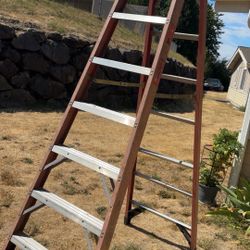 Werner 8ft Tall (12ft Reach Height) Ladder