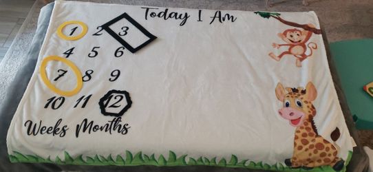 Milestone Blanket /Baby Age Blanket