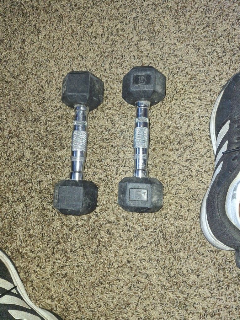 2 5lb Dumbbells