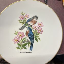 Vintage Bareuther Waldsassen Bavaria Germany porcelain Plate 8” 
