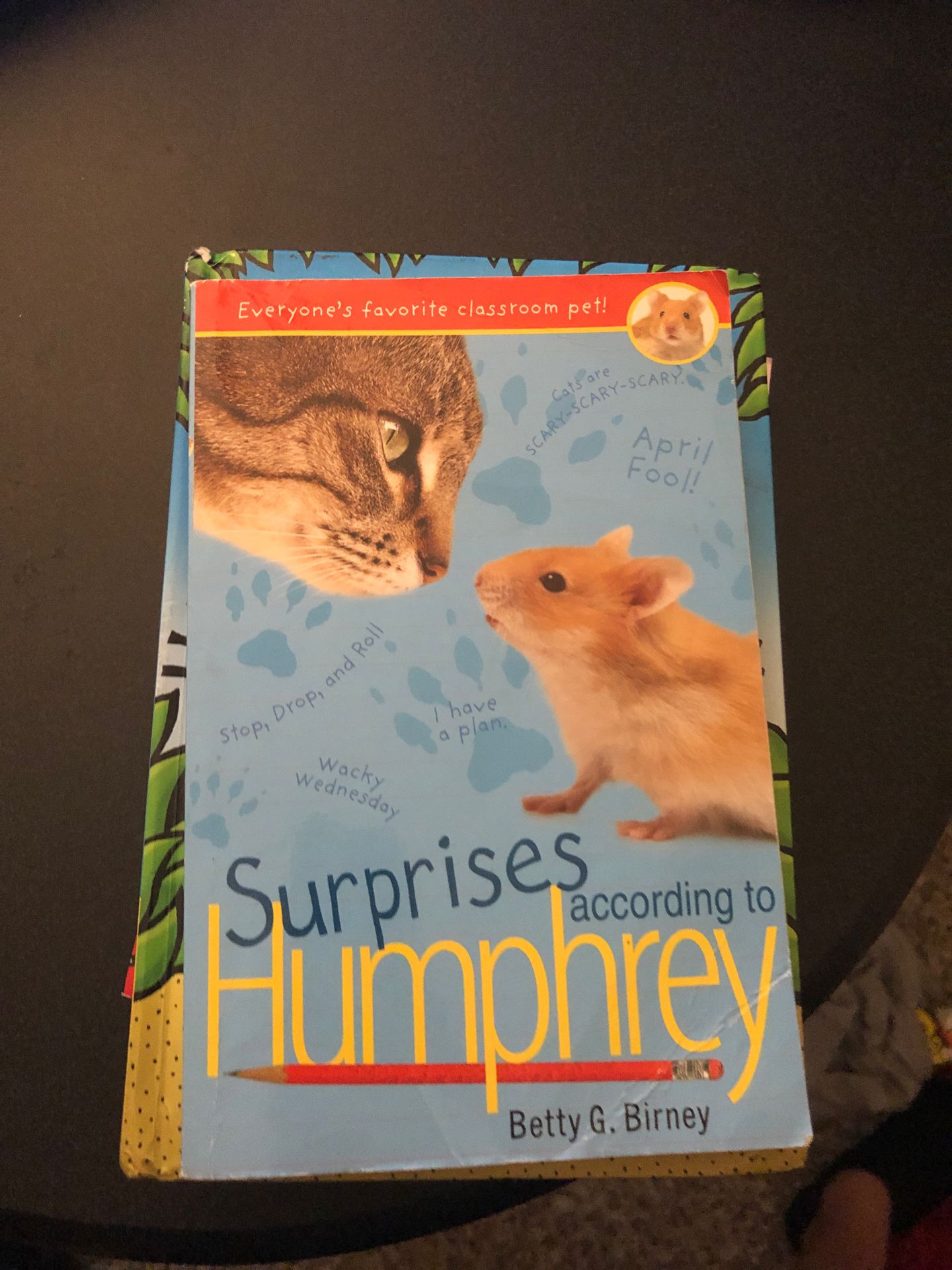 3rd Grade Book Bundle 4 Books