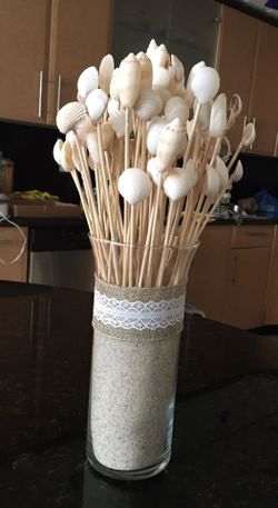 Seashells decoration