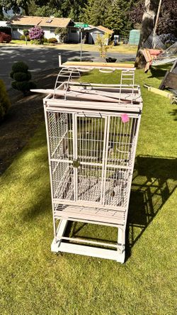 Bird Cage