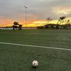 Mateo