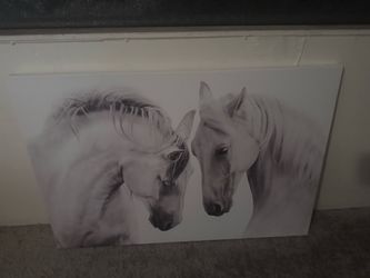 Horse picture
