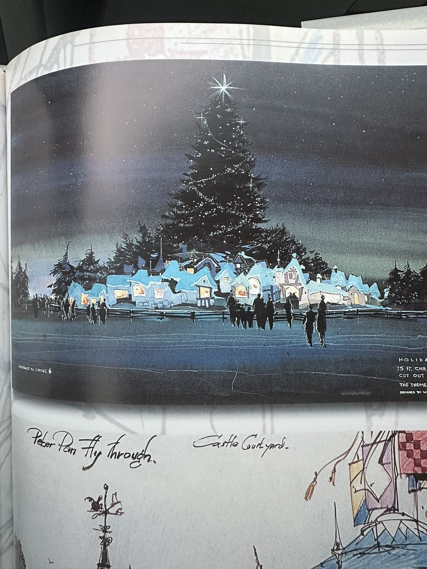 A Brush With Disney An Artist Journey. Book
