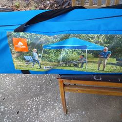 10x10 Cnopy light weight in carrying bag