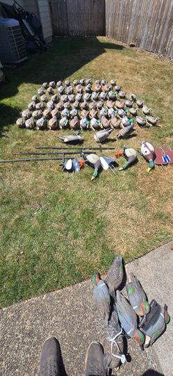 Duck Decoys