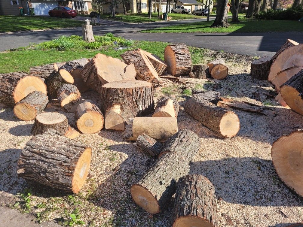 Free Firewood