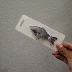  2 Different collor lifelike baitfish Swimbait 
