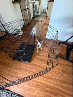 Dog crate and pen