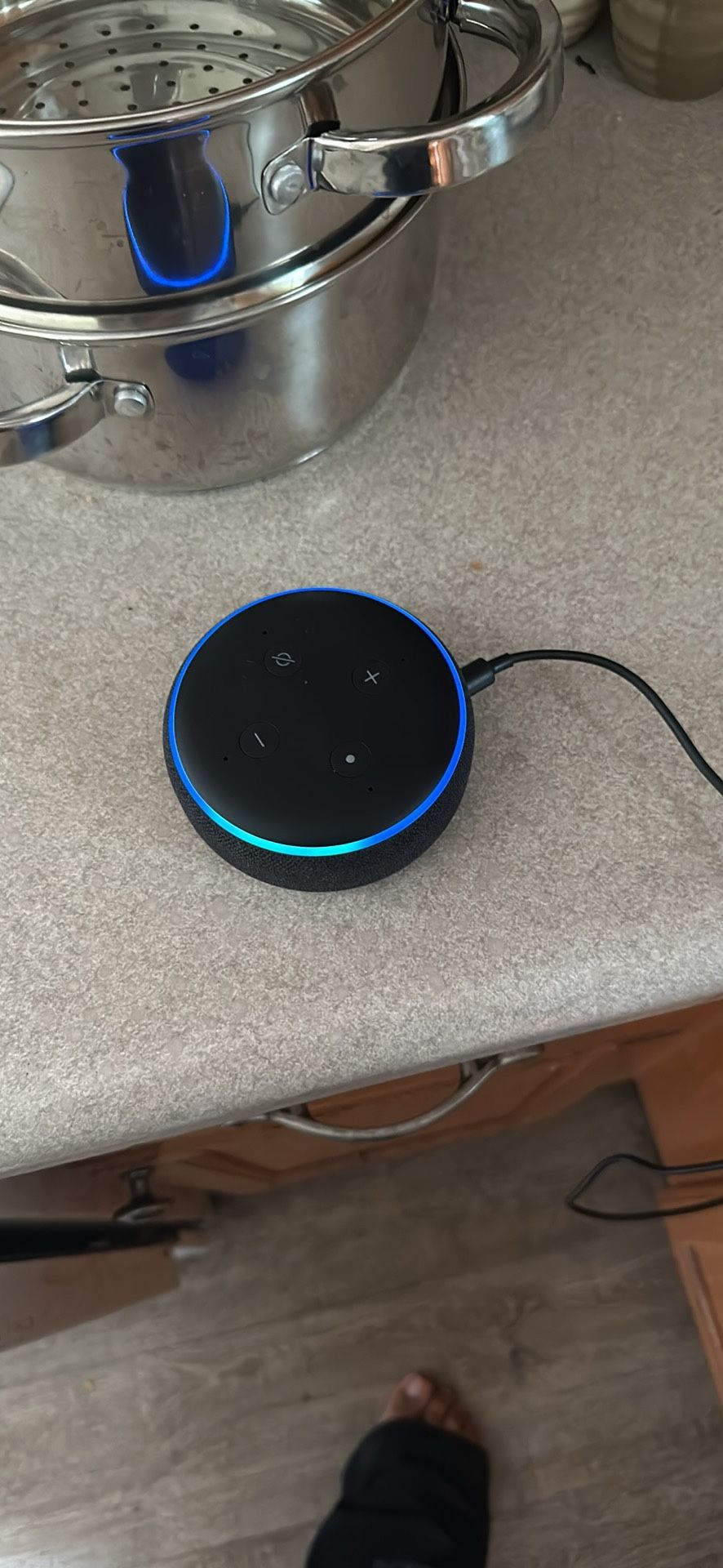 Echo Dot 