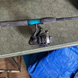Fishing Rods.  2 With Reels N One Just Rod   Make A Offer