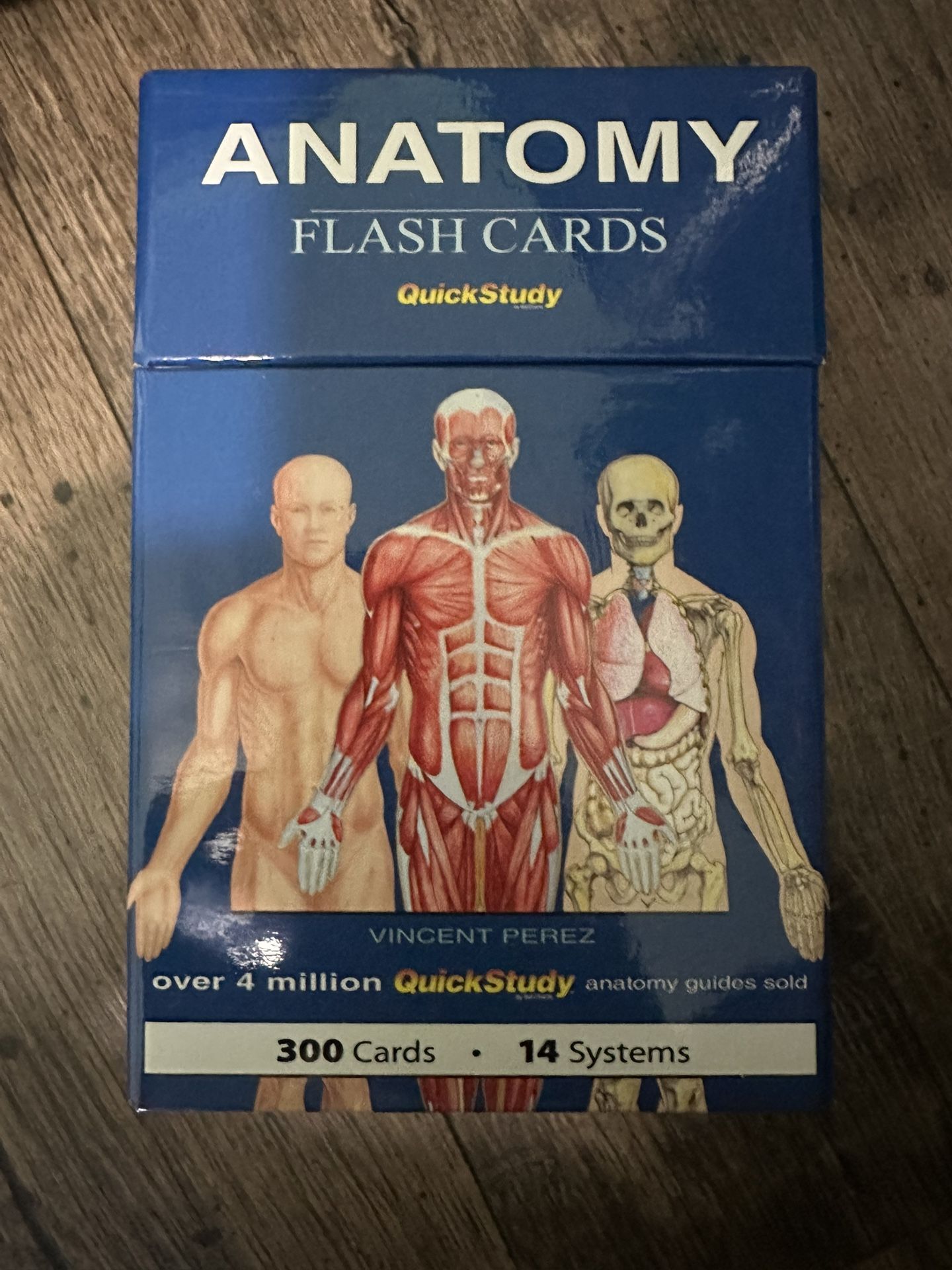Anatomy Flash Cards $20
