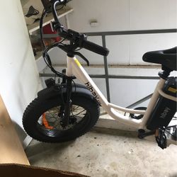 E bike