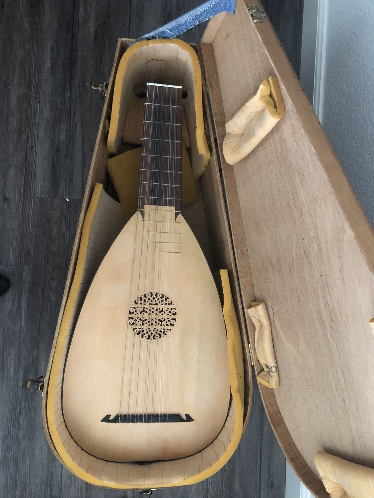 Renaissance Lute