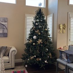 9.5 Prelit With White Lights 