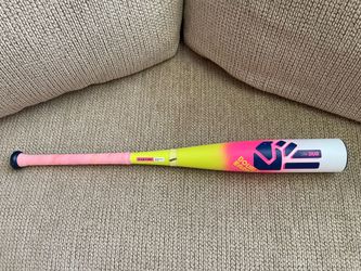 Easton The Dub 28 / -10 USSSA Baseball Bat