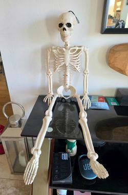 Halloween 4' Full Body Plastic Skeleton Decoration