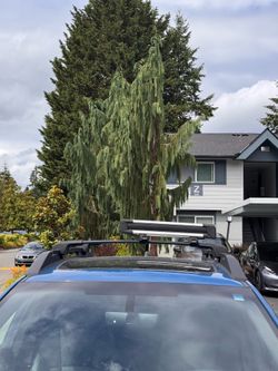 Subaru Outback Cross Bar + Ski Rack ( can fit upto 4 skis )
