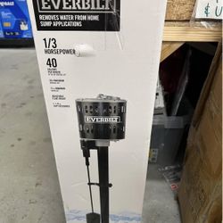 Everbilt 1/3 HP Plastic Pedestal Sump Pump