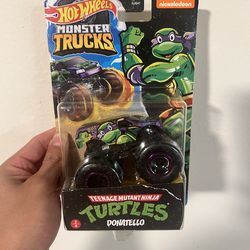 Hot Wheels TMNT Donatello Monster Truck (HARD TO FIND)