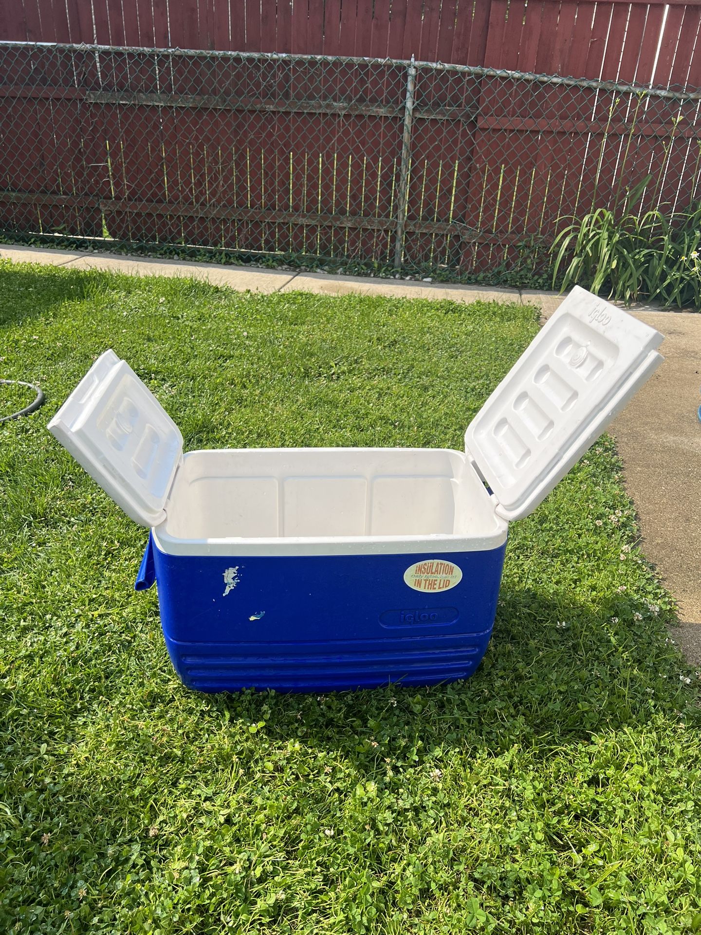 Igloo Cooler