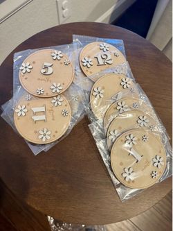 Baby Monthly Milestone Markers Disc