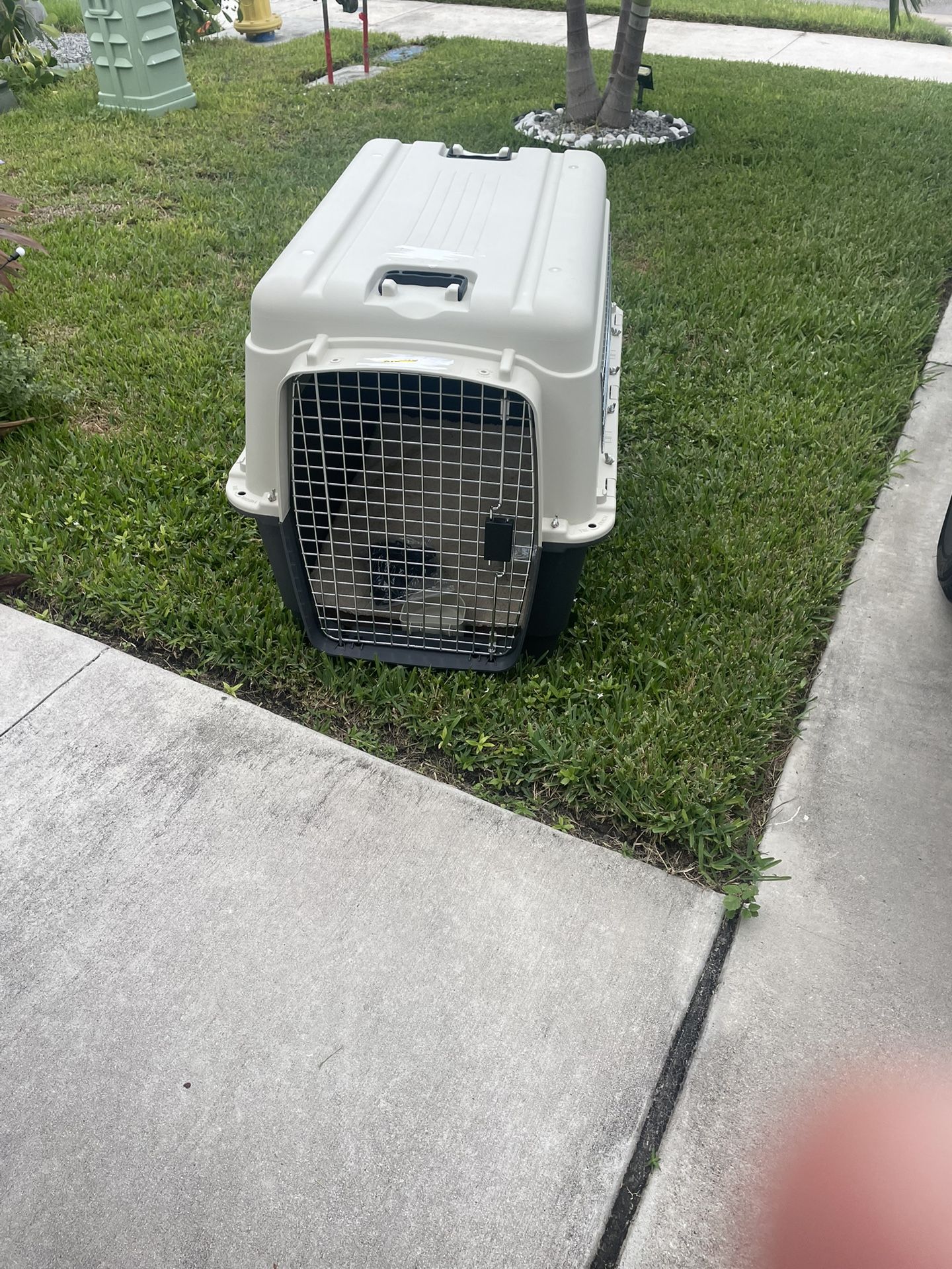 Dog Kennel Airline Approved