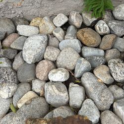 Landscape Cobble River Rock.