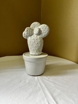 Ceramic Cactus Decor